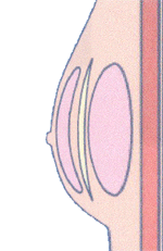 ���_�ׯݳNSUB-Q