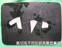 cartilage and Goretex