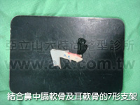 cartilage and Goretex